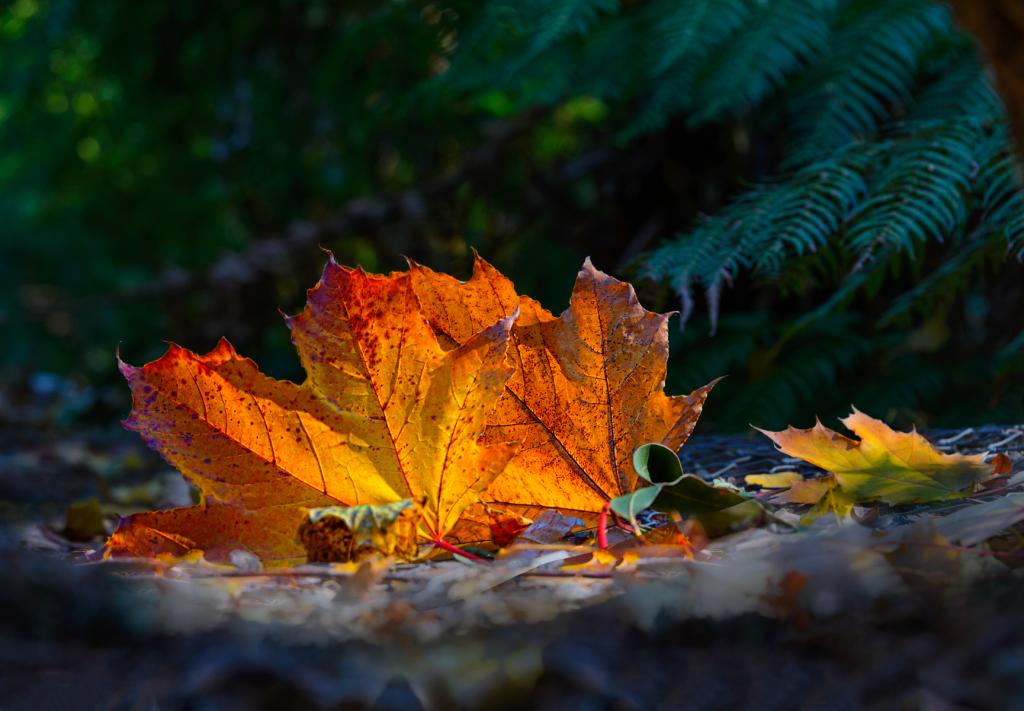 At My Level by Suzanne Calder