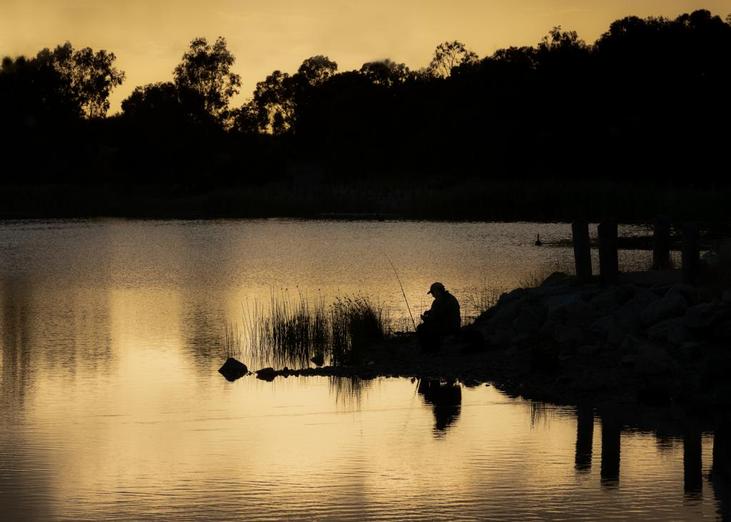 Peace and quiet by Michelle Brasington