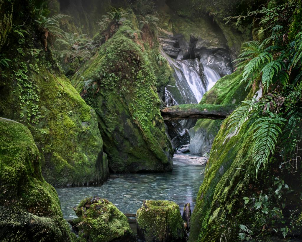 Hidden Peace by Jan Presnell