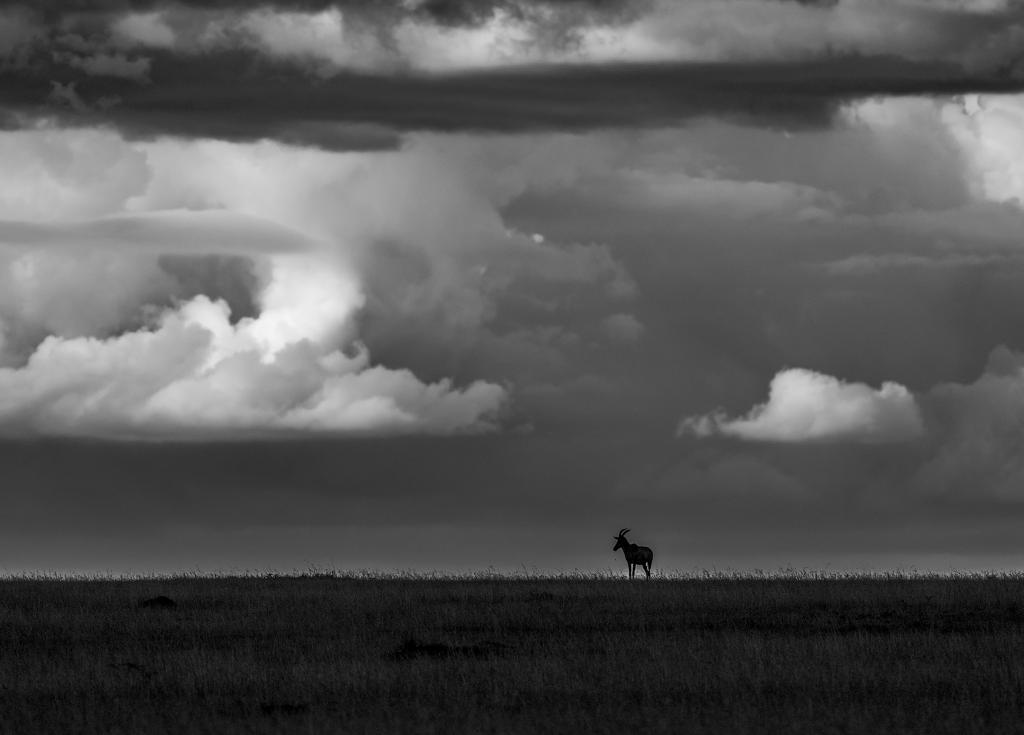 Outstanding in his field by Bruce McPhail