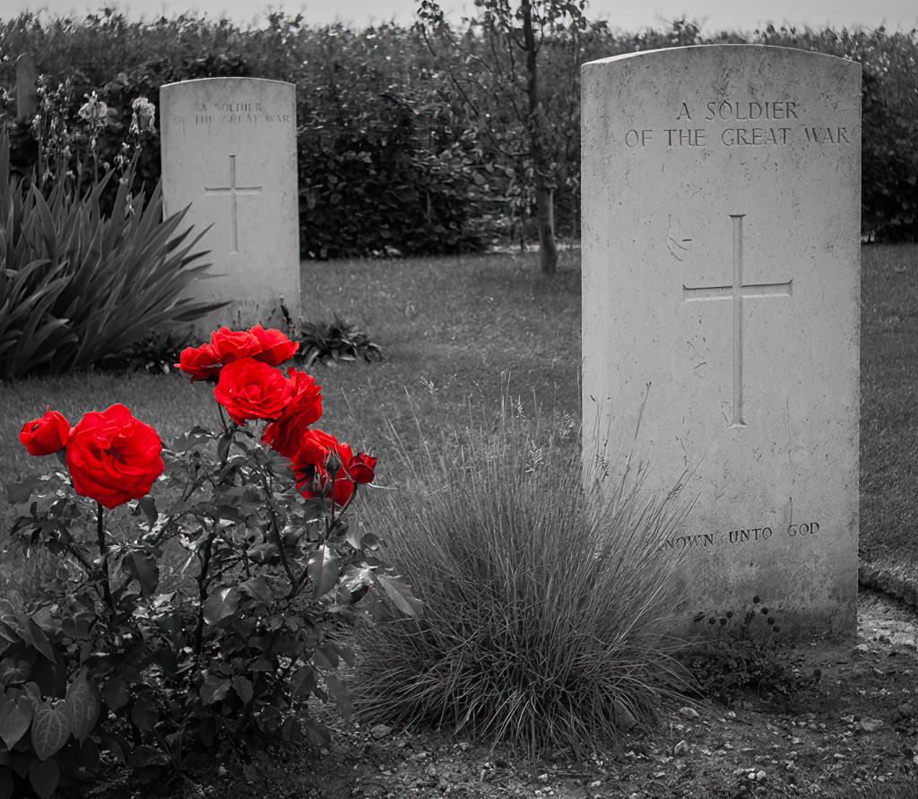 Remember by David Davidson