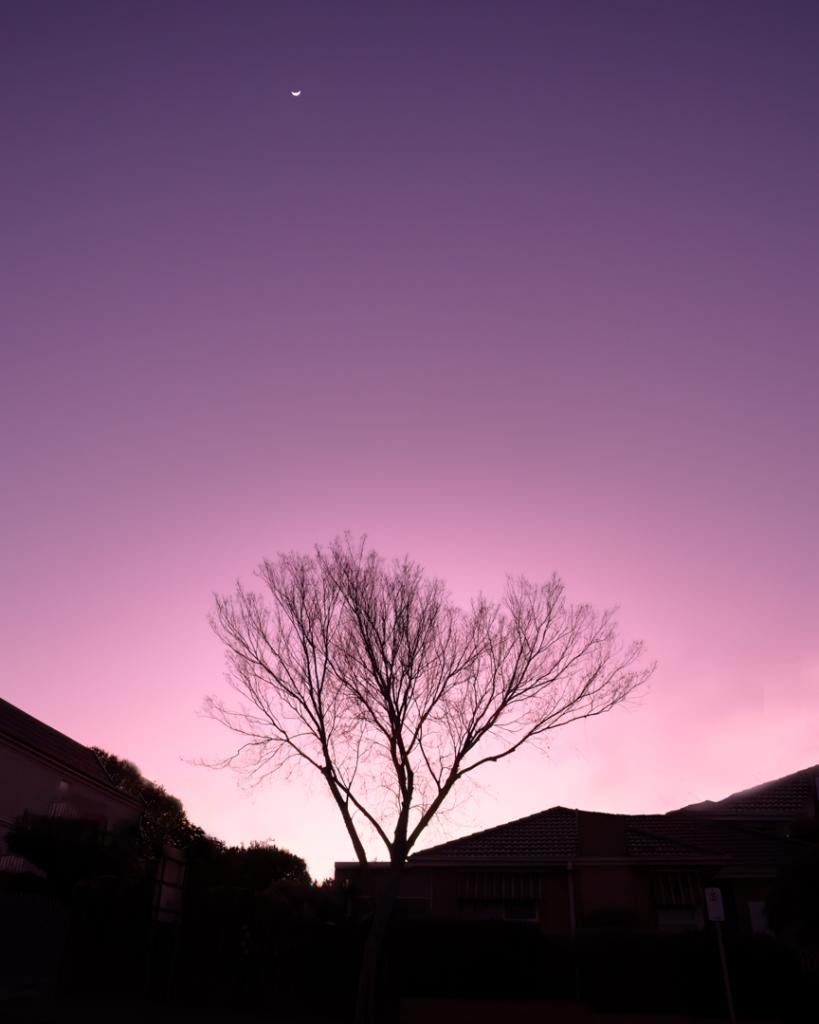 Sunrise silhouette by Michelle Brasington