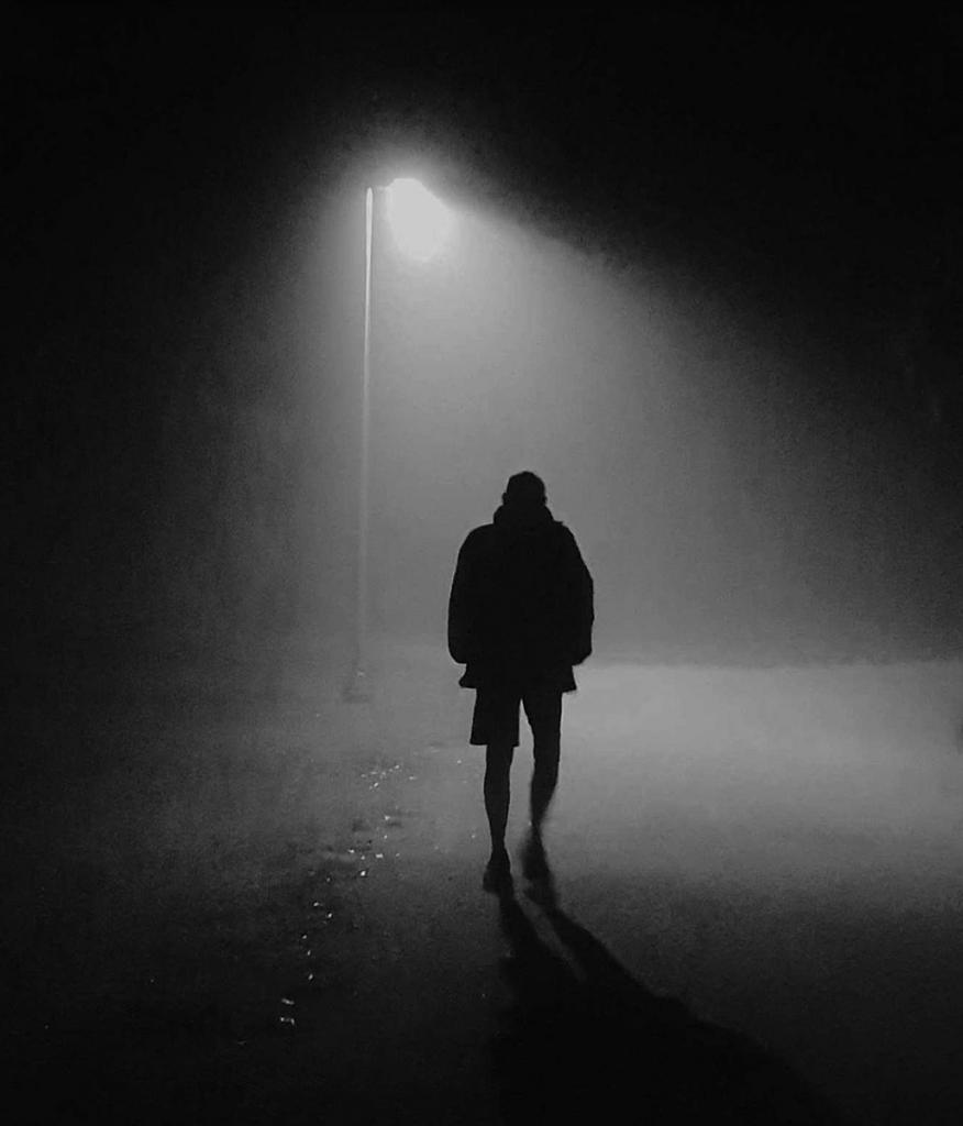 The Night Walker by Marion Vincent