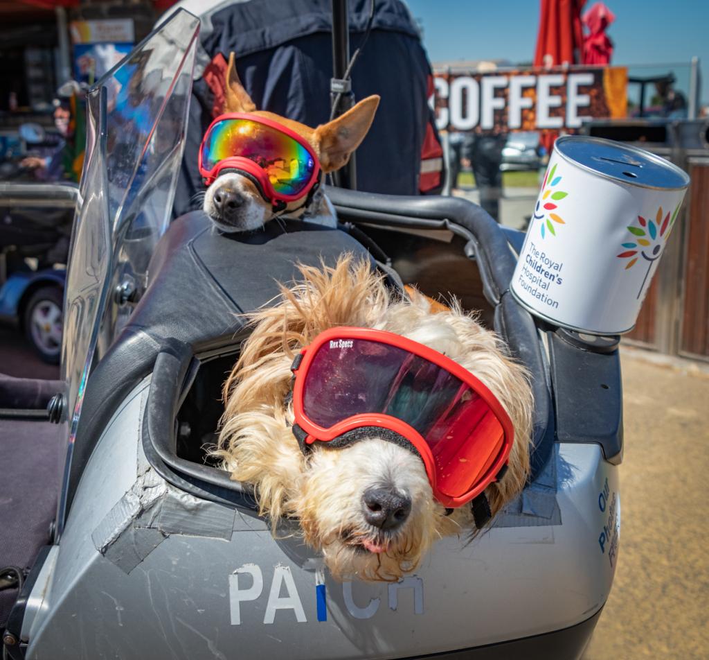 Dash and Patch stop for coffee by Anne James