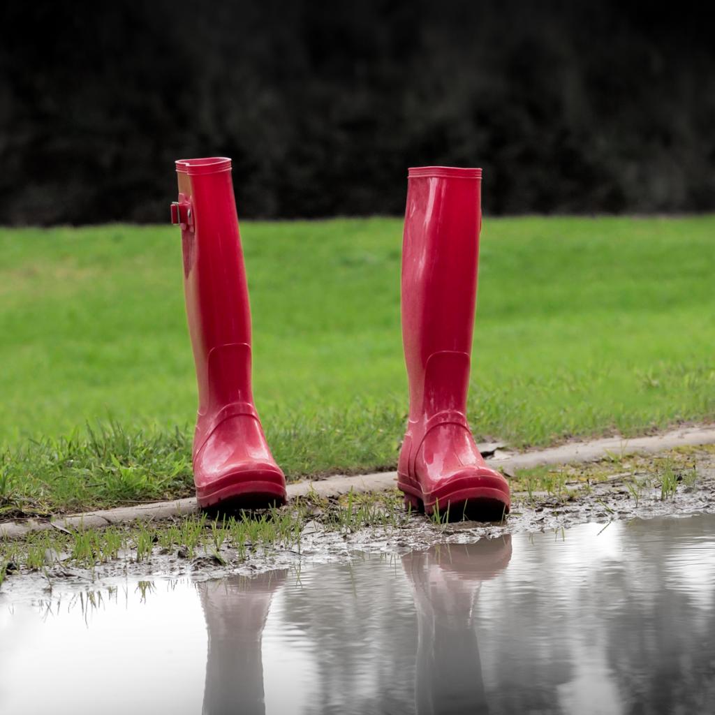 The Red Boots by Jan Presnell