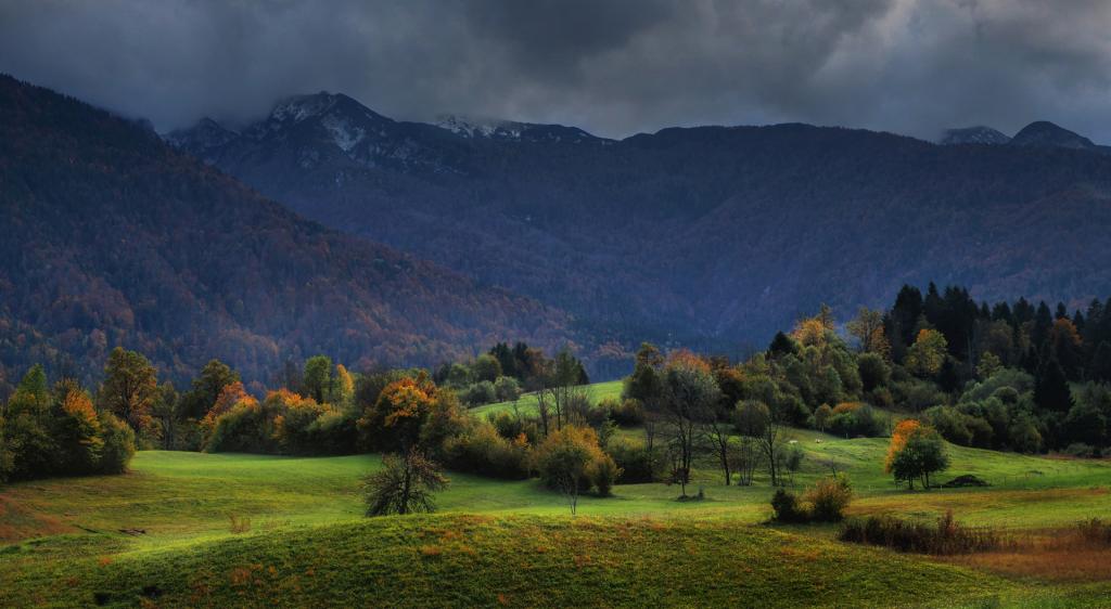 Where Sheep Graze by Peter Hammer