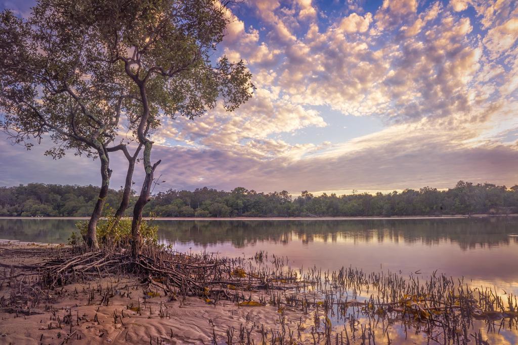 Dawn on the River by Lyn Darton