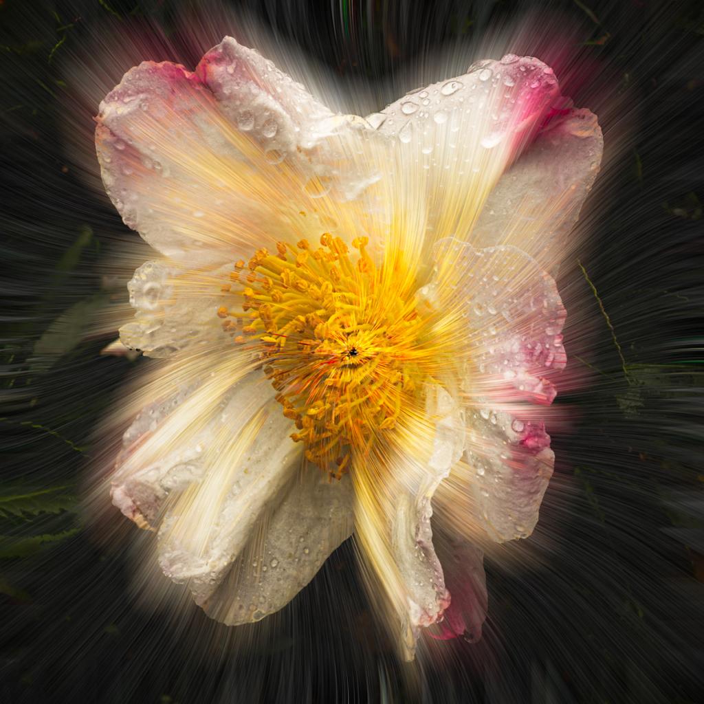 Raindrop shake by Anne James