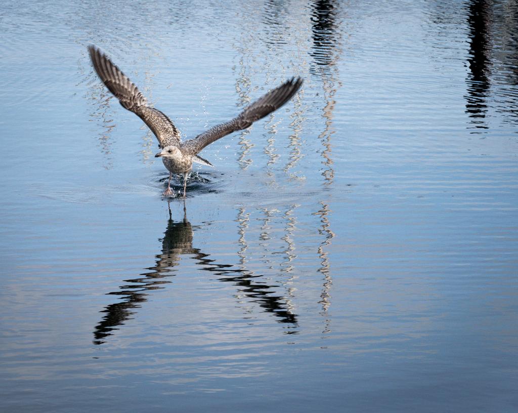 Up up and away by Melissa Hansen