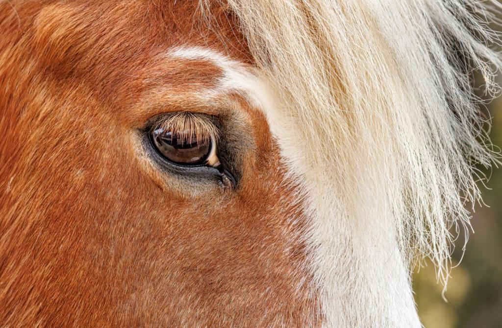 I SEE YOU by Nancy Lovett