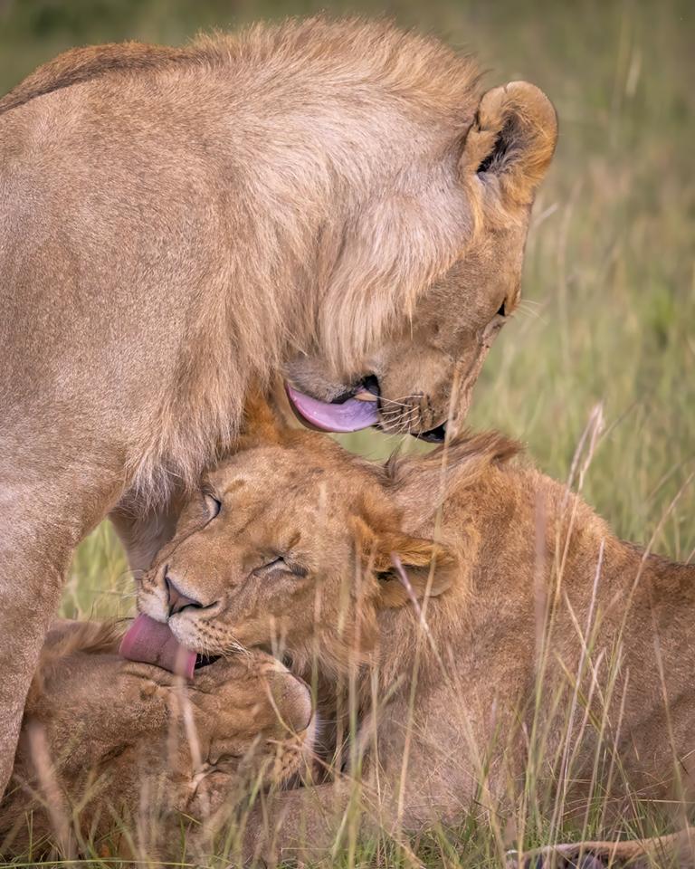 Brotherly Clean Up by Jeffry Farman