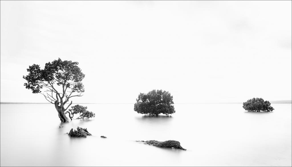 Tenby Point High Key by Greg Earl