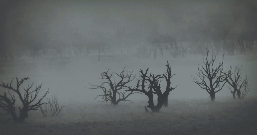 Rising out of the Mist by Gordon Young