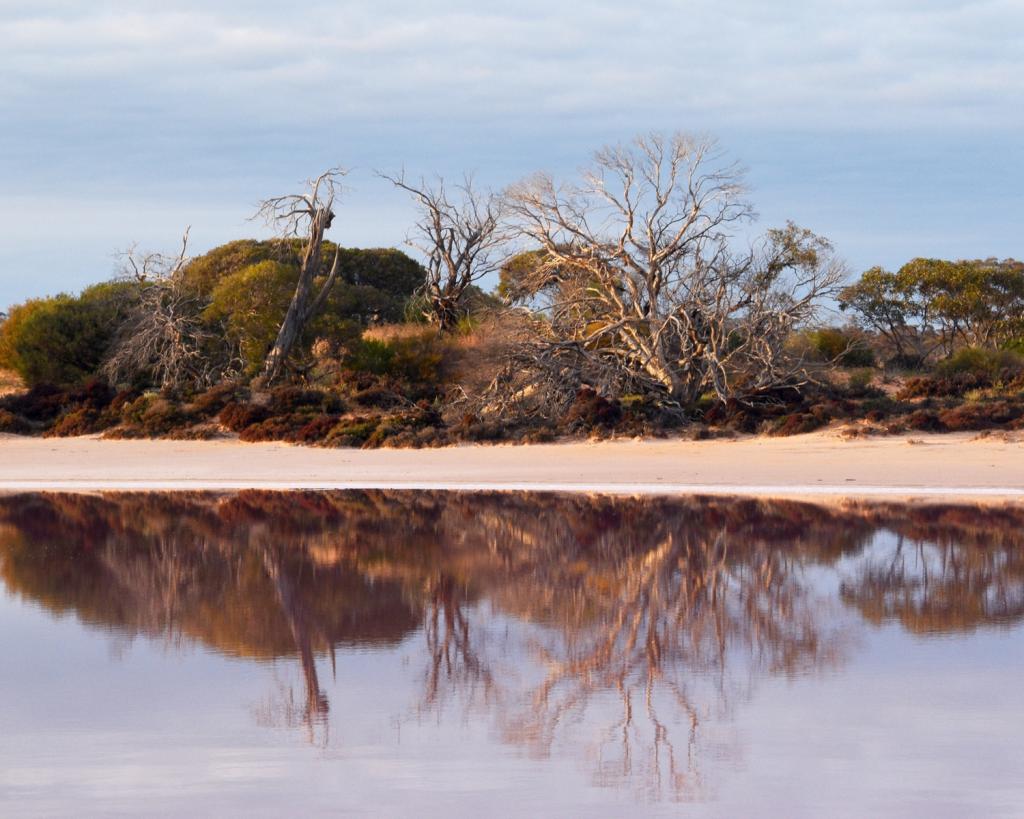 Kenyon Reflection by Yvonne Hyland