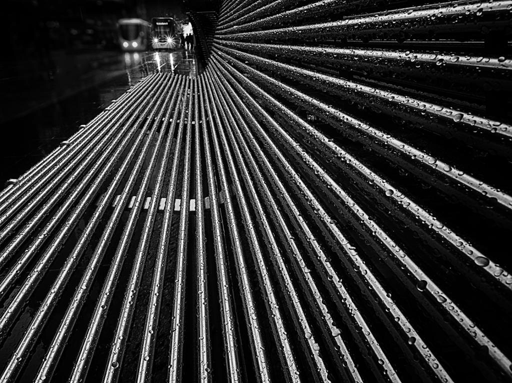 Tram Stop by Peter Hammer