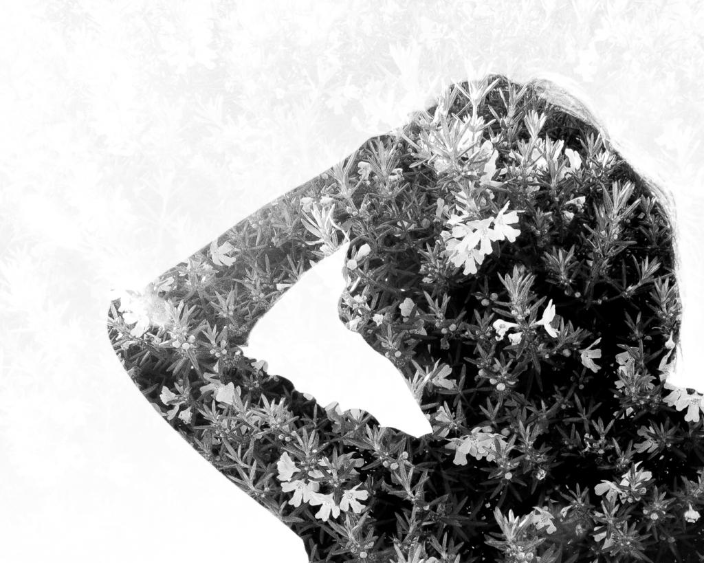 In the Garden by Liz Mann