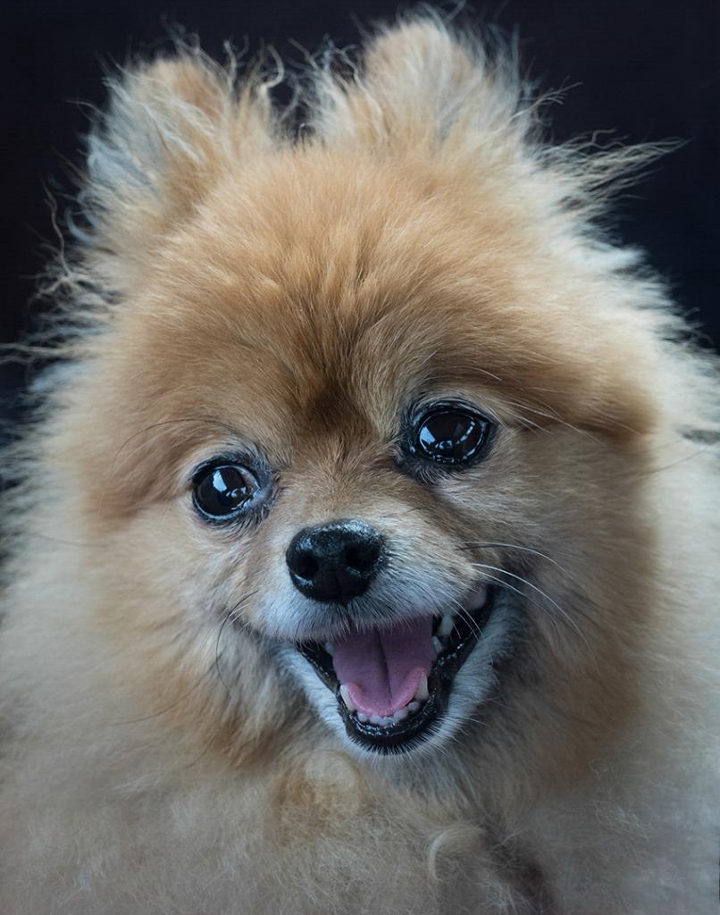 Hi Ya by Chris Costello