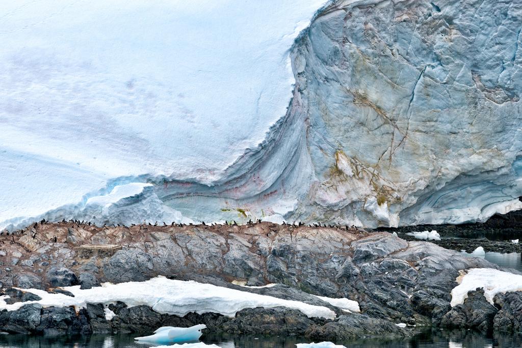 Ice and Penguin Rookery by John de la Lande