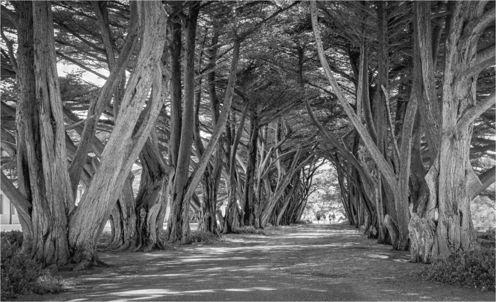 Tunnel View by Anne James